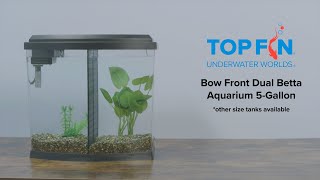 Top Fin Bowfront Double Betta Tank 5 Gallon Aquarium Setup  YouTube [upl. by Nickles]