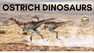 OSTRICH DINOSAURS [upl. by Gerrard]