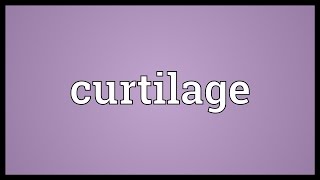 Curtilage Meaning [upl. by Rehpotsirahc389]