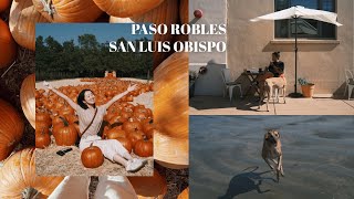 ROADTRIP TO PASO ROBLES  一个小旅行VLOG｜南瓜农场｜红酒庄｜San Luis Obispo [upl. by Ahseniuq737]