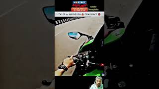 zx10r Vs Hayabusa 😱race 🔥automobile zx10r hyabusa bike race ninja bikelover ytshorts [upl. by Vasilis45]