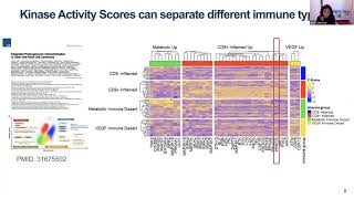 Pancancer Kinase Enrichment Analysis [upl. by Rudy]