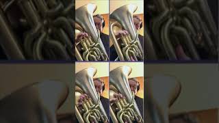 Muss i Denn Wooden Heart  Euphonium Quartet  From Elvis Presley Suite [upl. by Buckingham]