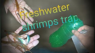 how to make shrimp trapCatching freshwater 🦐shrimps 🦞 to catch big 🐟fish🐟monsoon🌧2024 [upl. by Eenej]