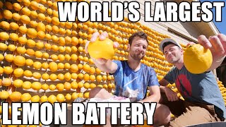 Worlds Largest Lemon Battery [upl. by Nosrak]