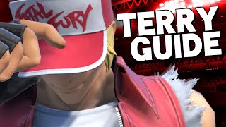 Terry Bogard Combo TutorialExhibition [upl. by Mathias]