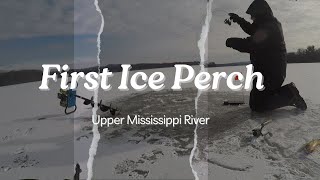 FIRST ICE PERCH beatdown on FINICKY FOOLERS Mississippi River ICE FISHING [upl. by Ardnauq]