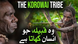 The Korowai Tribe Fascinating Facts and Stories of an Isolated People [upl. by Eseela]