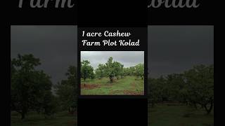 ID 11250 The Plot 1 acre in cashew farm for sale in Roha raigad [upl. by Relyk]