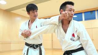 Awesome Kata Bunkai by Naka Shihan from JKA [upl. by Chapman582]