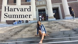 HOW TO GET INTO HARVARD PRECOLLEGE PROGRAM [upl. by Felicity]