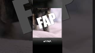 Cats Want FAP [upl. by Dirtsa848]