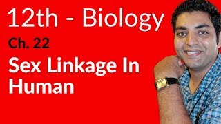 FSc Biology Book 2 Sex linkage in humans  Ch 22 Variation and Genetics  12th Class Biology [upl. by Gowrie]