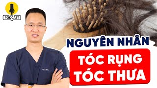 3 Nguyên nhân chính khiến tóc rụng tóc thưa podcast  Dr Hiếu [upl. by Kotta]