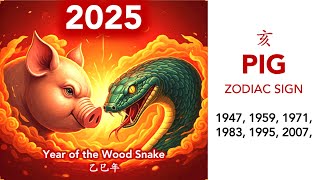 2025 Zodiac Predictions Pig Sign [upl. by Haswell670]