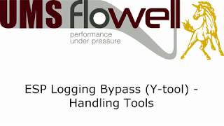 ESP logging bypass ytool  Handling Tools [upl. by Emmalyn]