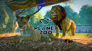 Planet Zoo  Day in the life of a LION [upl. by Dario]