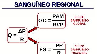 Cómo se distribuye el gasto cardíaco muy básico [upl. by Schaffel909]