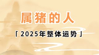 属猪的人2025年整体运势分析 運勢 屬豬 生肖猪 生肖猪 2025年 [upl. by Kcirdot]