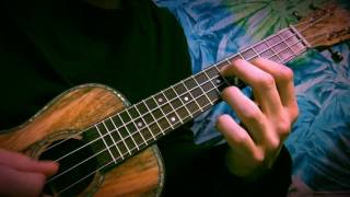 MUDGE  quotWeird Fishesquot Radiohead Ukulele cover [upl. by Knobloch760]