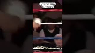 La excelente técnica del Finito López boxing boxmexicano [upl. by Lorianne]