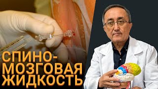 Спиномозговая Жидкость в Норме и Патологии  Ликвор  Лекция по Неврологии 2024 [upl. by Ogaitnas]