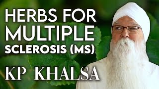 Potential Herbal Remedies for Multiple sclerosis MS  KP Khalsa [upl. by Hannasus]