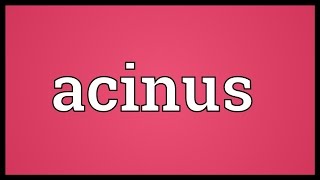 Acinus Meaning [upl. by Mort]