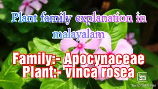 Family Apocynaceae details in Malayalam [upl. by Ferdie635]