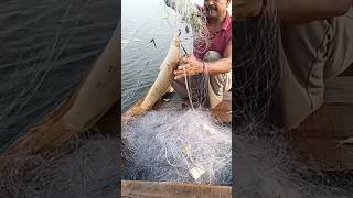 SOL machhali Jaal se kaise pakde fishing [upl. by Akimrehs]