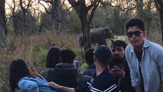 Close encounter with killer elephant name Ronaldo of Chitwan jungle tour at saurah Nepal 🐘 [upl. by Sibell]