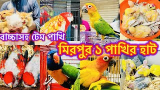 কেনা বেচায় শীর্ষে মিরপুর ১ পাখির হাট  Mirpur 1 Pakhir Hat viral MurshedPets [upl. by Inej]