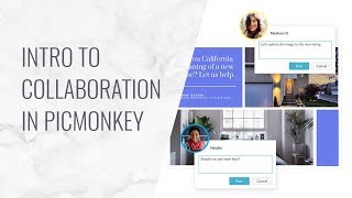 Intro to Collaboration in PicMonkey [upl. by Eeldivad]