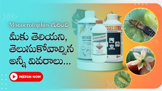 Monocrotophos 36 SL  Allrounder Insecticide  ఇప్పుడెందుకు దూరం పెడుతున్నారు  TFS Sagubadi [upl. by Ecyt]