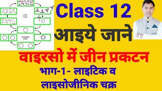 lytic and lysogenic cycles in viruses class12लाइटिक व लाइसोजीनिक चक्र vedio 83 [upl. by Anavas794]