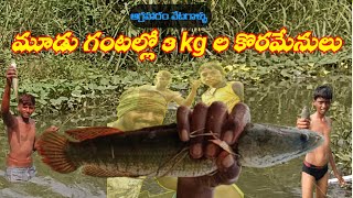 కొరమేను చేపలు గాలాంతో పట్టడం 🐟 🐠 fish hunt video 📸 in Telugu November 10 2024 [upl. by Ahslek]