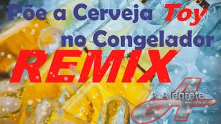 Remix Põe a Cerveja no Congelador Toy Dj A Alegrete [upl. by Carolynne]