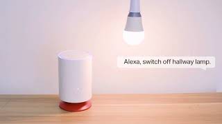 TPLink Amazon and Sugr  World First Mesh WiFi 6 System with Alexa BuiltIn [upl. by Idel]