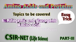 Ketogenic and Glucogenic amino acids  Easy tricks and technique [upl. by Neelhtac]