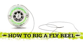 How to Rig a Fly Reel [upl. by Asilec234]