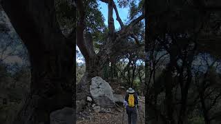 Sturtevant Falls hiking hikingadventures [upl. by Anoiuq256]