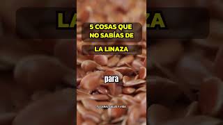 5 BENEFICIOS DE LAS SEMILLAS DE LINAZA PARA TU SALUD alimentossaludables sabiasque [upl. by Yrgoerg794]