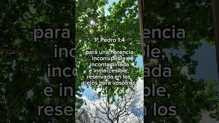 INCORRUPTIBLE INCONTAMINADA INMARCESIBLE cristo jesus shorts reflexion fe biblia cristo [upl. by Akirehs]