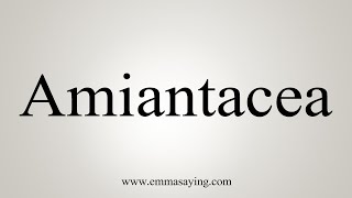 How To Say Amiantacea [upl. by Nuyh72]