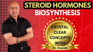 Synthesis of Steroid Hormones  Biosynthesis  Dr Najeeb👨‍⚕️ [upl. by Neenad]