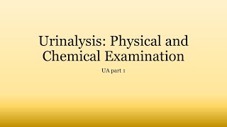 Urinalysis Basics Physical and Chemical Examination of Urine [upl. by Gebhardt]