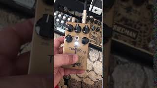 Wampler Tumnus Deluxe  Popping Noise [upl. by Attlee]