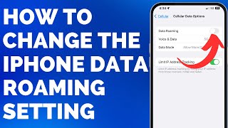 Data Roaming iPhone How to Turn it On or Off [upl. by Fassold644]