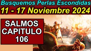 Busquemos PERLAS ESCONDIDAS de esta semana 1117 de Noviembre 2024 Comentarios [upl. by Gorrian]