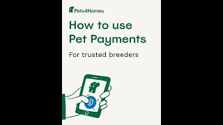 Pet Payments for trusted breeders [upl. by Ecyrb]